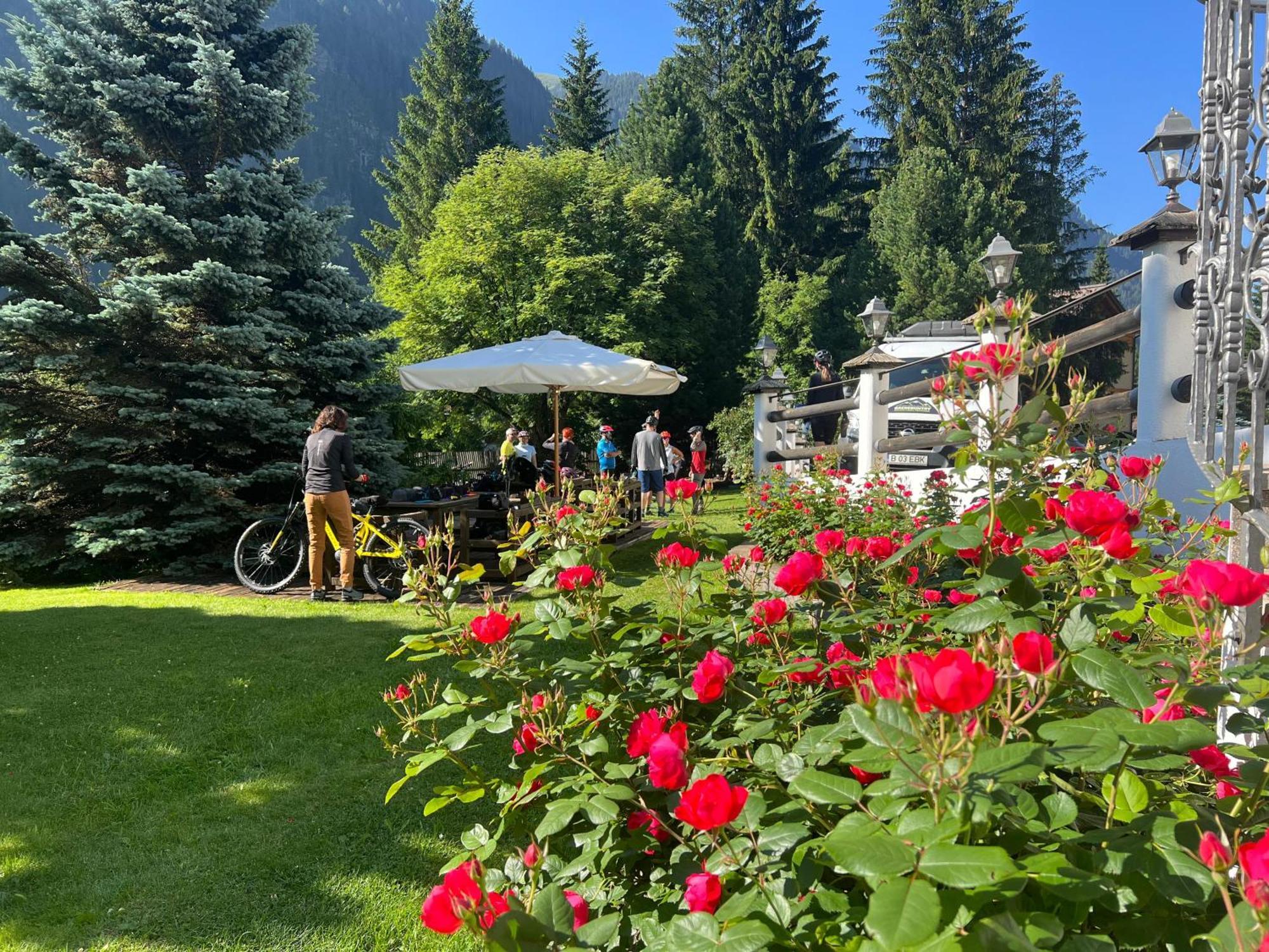 B&B Garni Villa Campitello Campitello di Fassa Exteriör bild